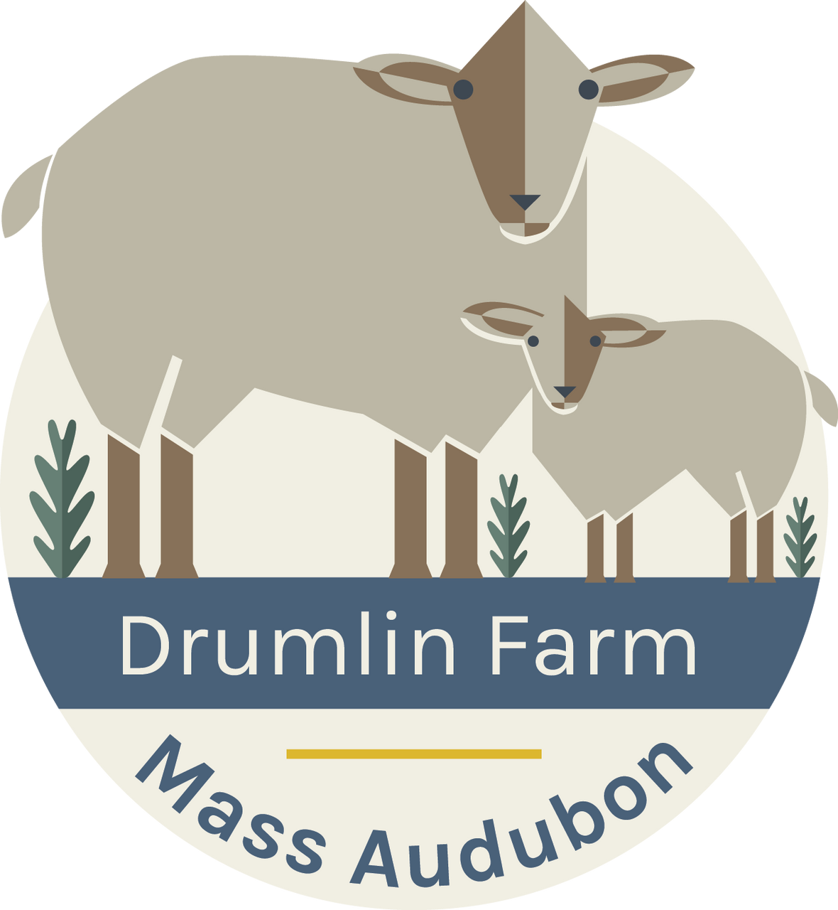 Drumlin farm
