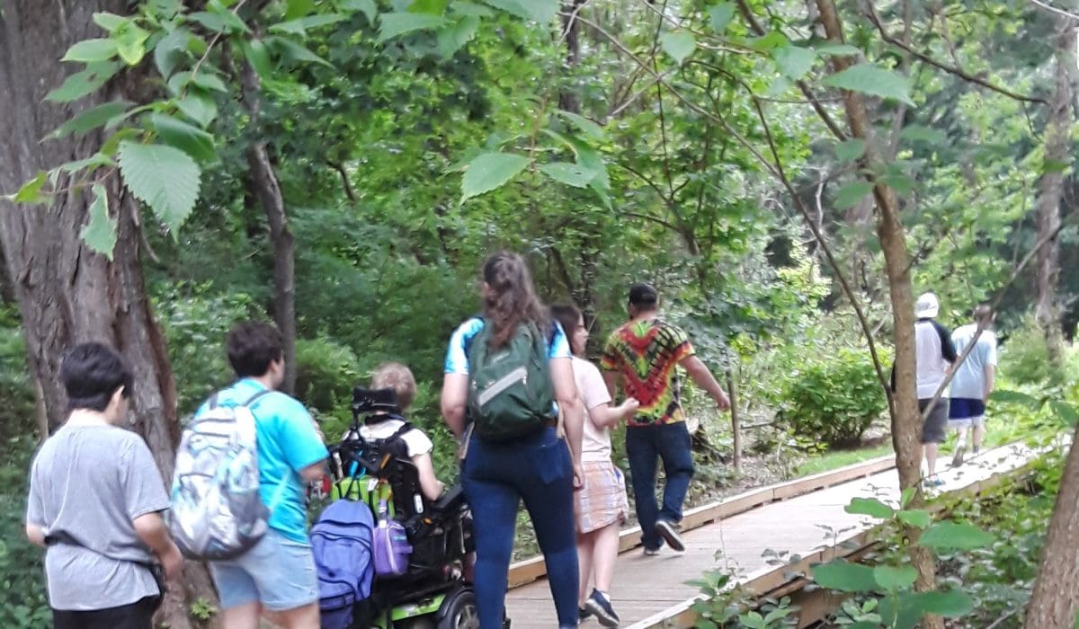 Students on a walk through the woods